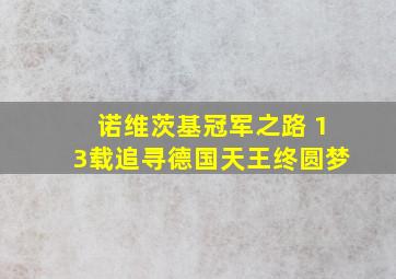 诺维茨基冠军之路 13载追寻德国天王终圆梦